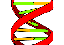Turner syndrome inheritance ,definition,symptoms ,causes and treatment Turner syndrome treatment