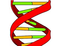 Turner syndrome treatment