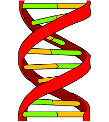 Turner syndrome inheritance ,definition,symptoms ,causes and treatment Turner syndrome treatment